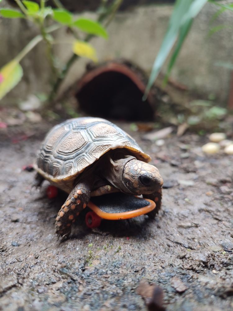 Photograph by nileydi Colmenarez