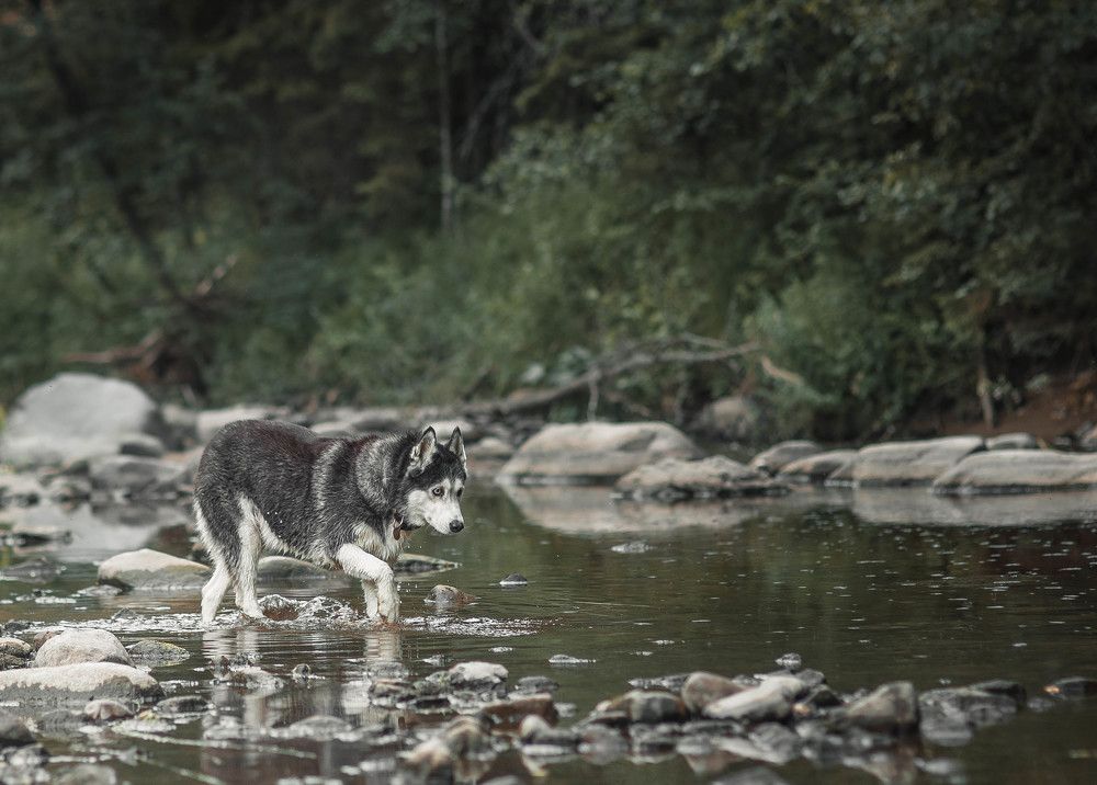 Photograph by Дарья Чистякова