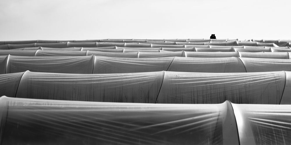 Photograph by Vladimir Shish