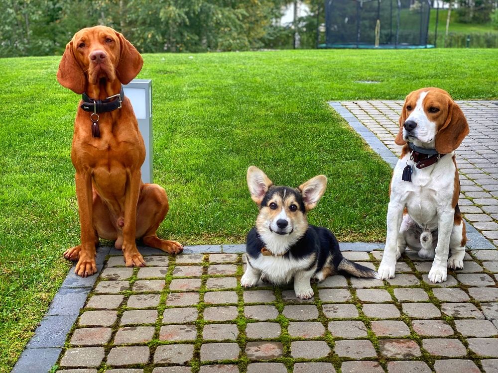 Фотография автора Olga Klyueva