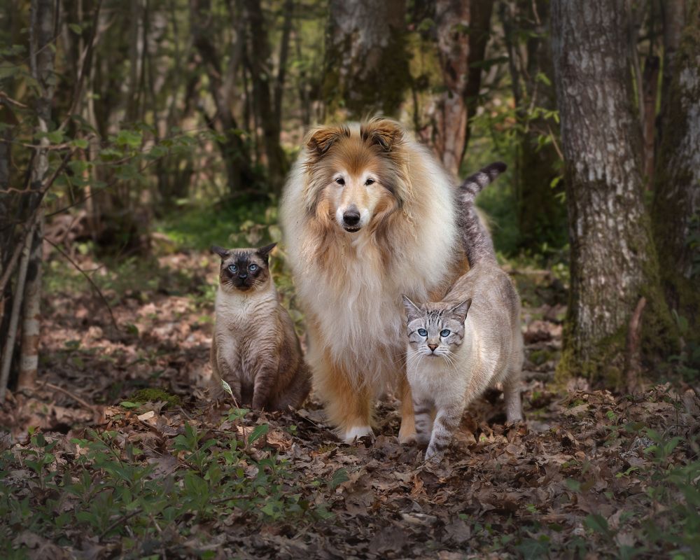 Photograph by LYUDMYLA POKRYSHEN