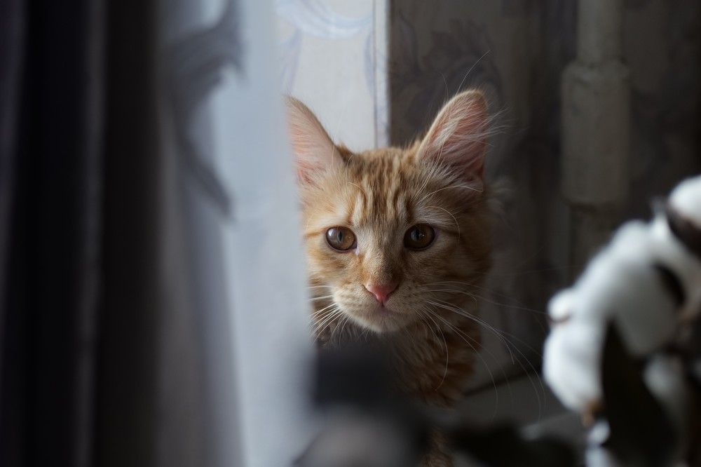 Photograph by Оксана Архипова