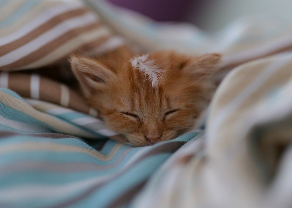 Photograph by Оксана Архипова