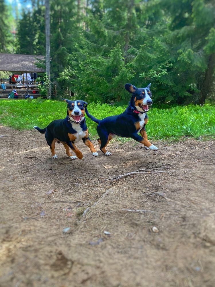 Фотография автора Olga Klyueva