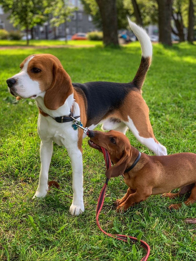 Фотография автора Olga Klyueva