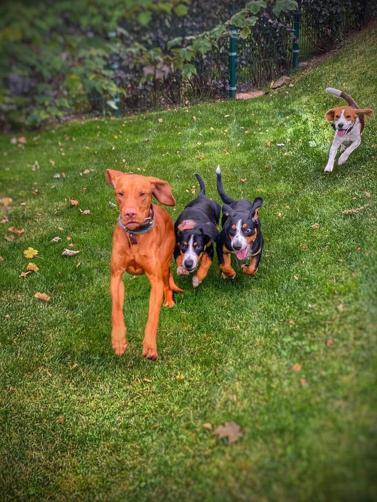 Фотография автора Olga Klyueva