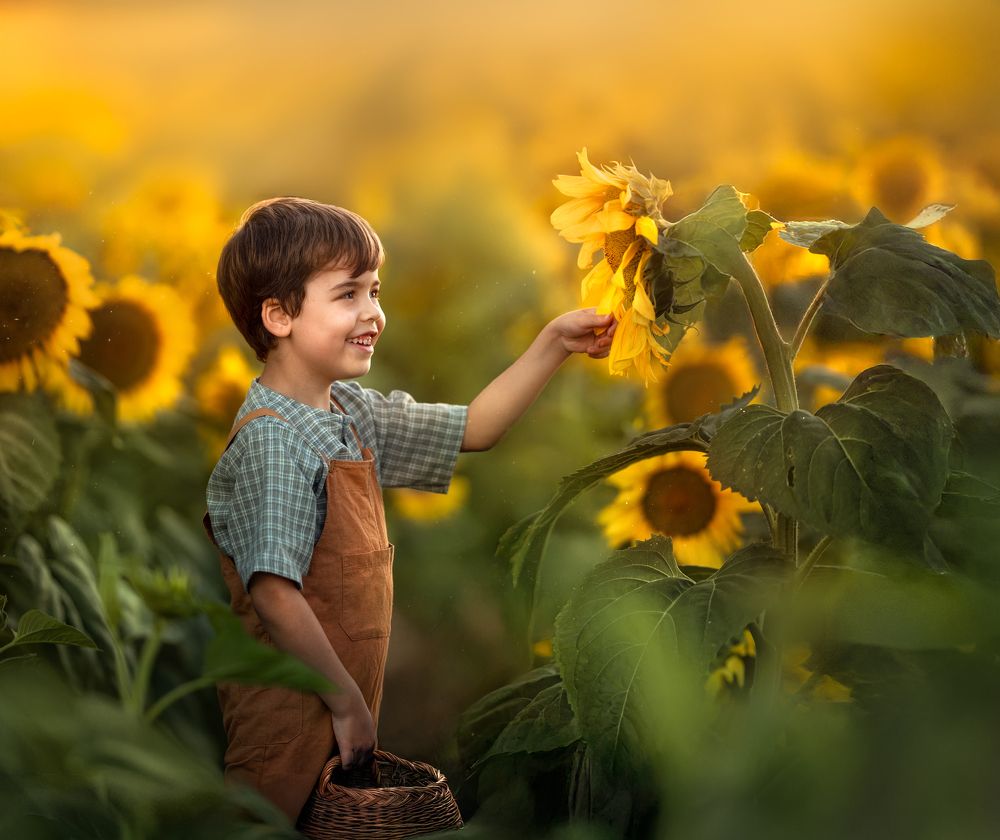 Photograph by Emanuel Manfrin