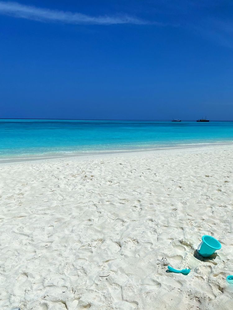 Фотография автора Olga Klyueva