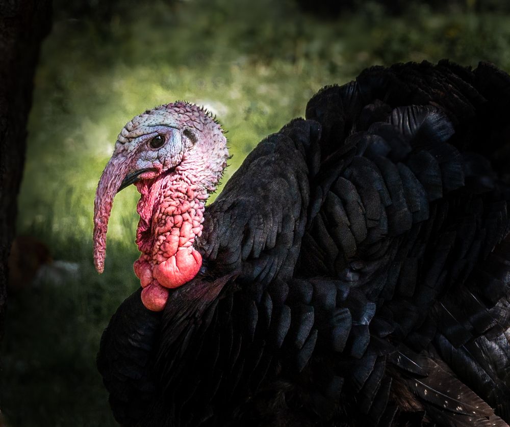 Photograph by Анна Стрелковская