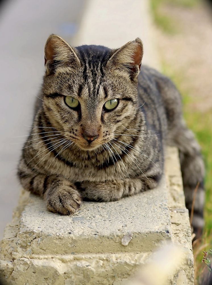 Photograph by Наталья Шумилова