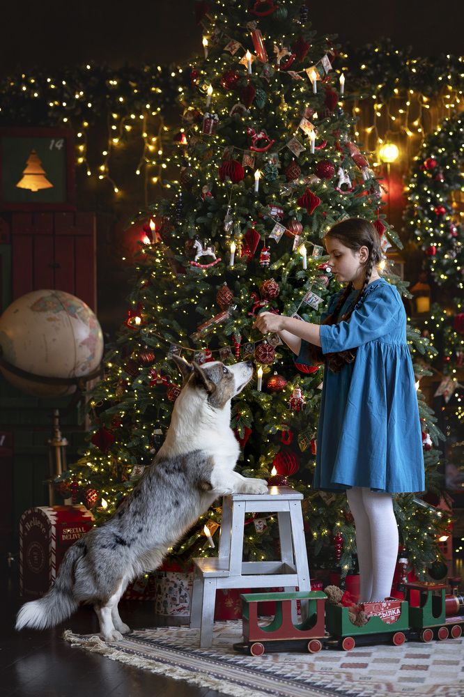 Photograph by Мария Комратова