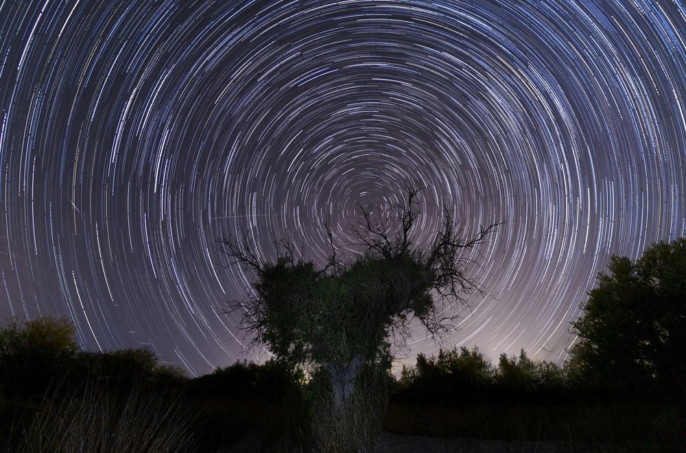 The Endless Motion of Star Trails Across the Night Sky