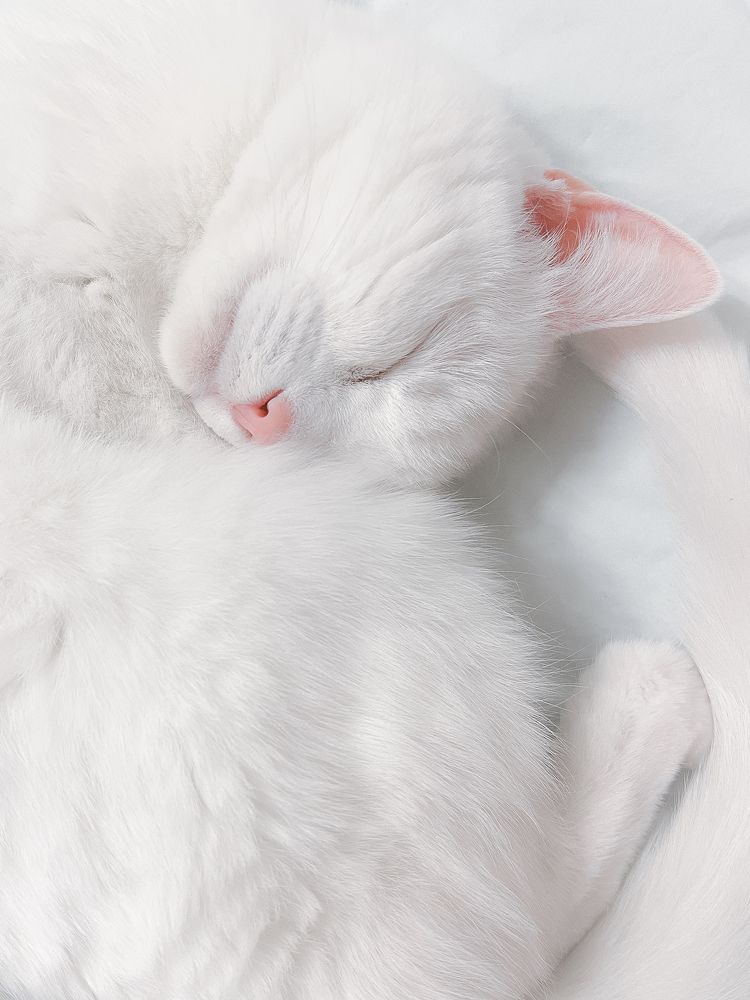 Photograph by Игорь Толкачев