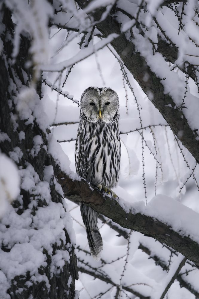 Photograph by Никита Филиппов