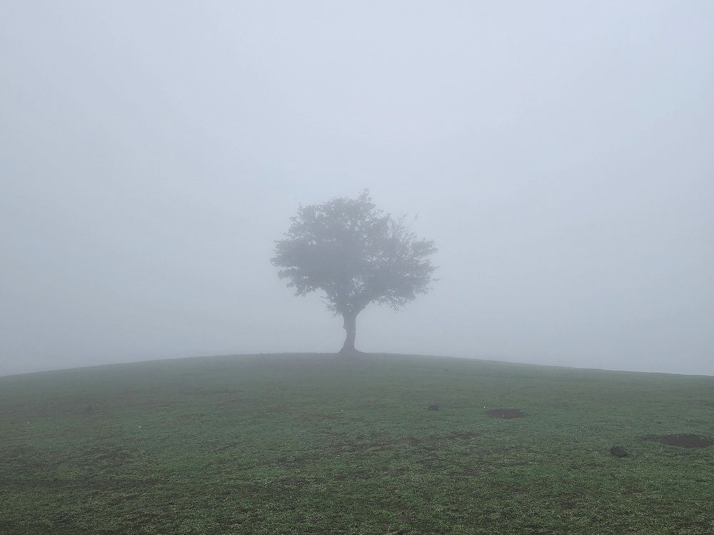 Photograph by Masoumeh Rahimi