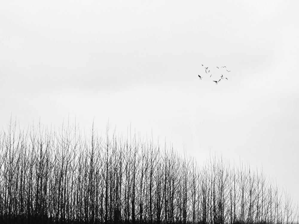 Photograph by Masoumeh Rahimi