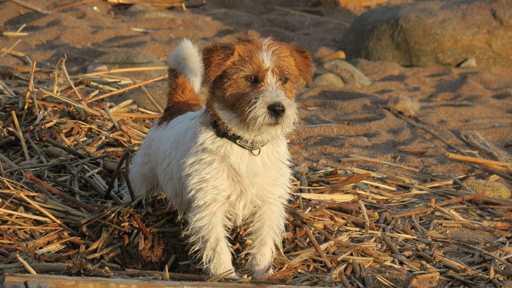 Photo #11662229