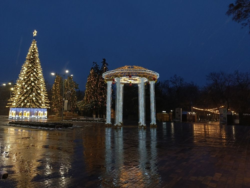 Photo #11662266