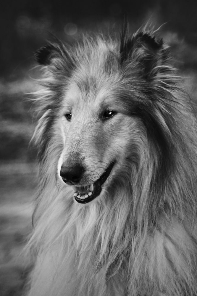 Photograph by Гагик Мхитарян