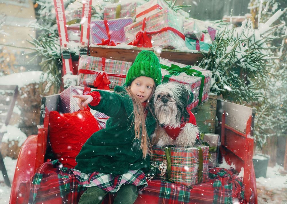 Photograph by Ольга Лобачёва