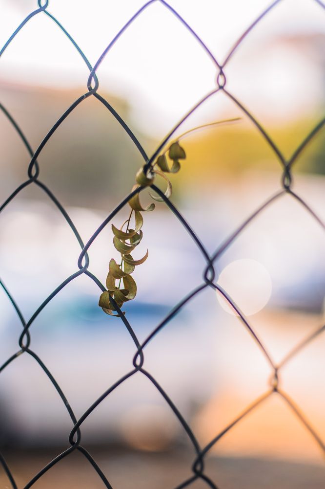 Photograph by Magic Helios