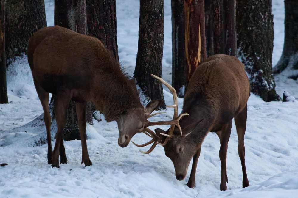 Photograph by Сергей Слукин