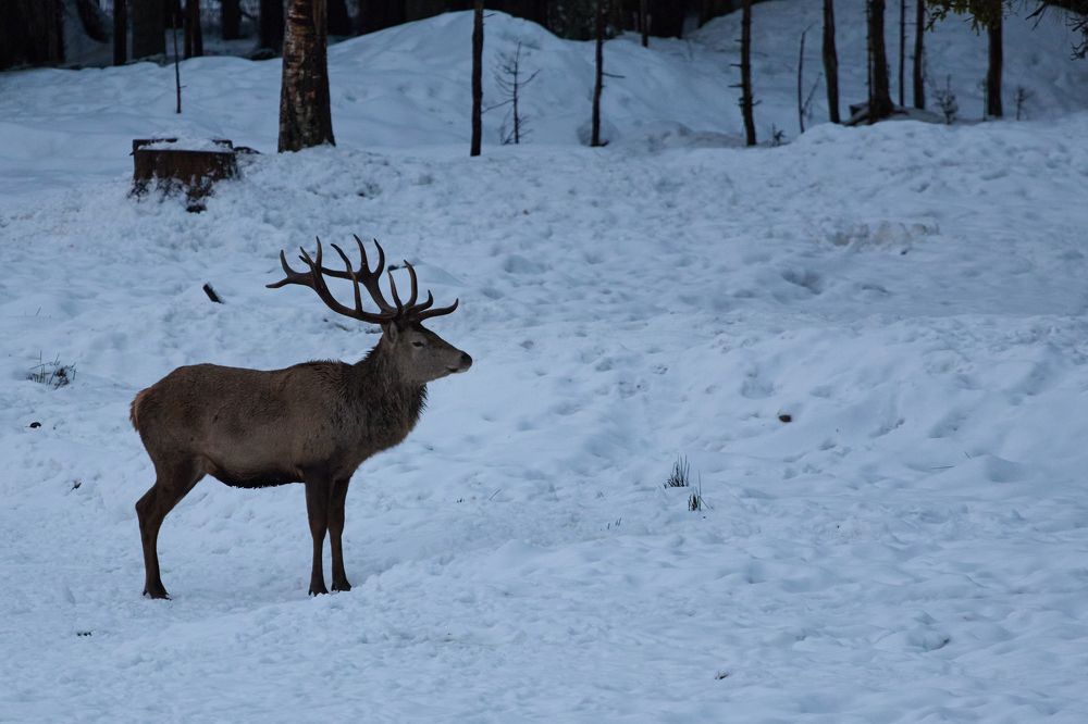Photograph by Сергей Слукин