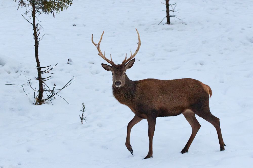 Photograph by Сергей Слукин
