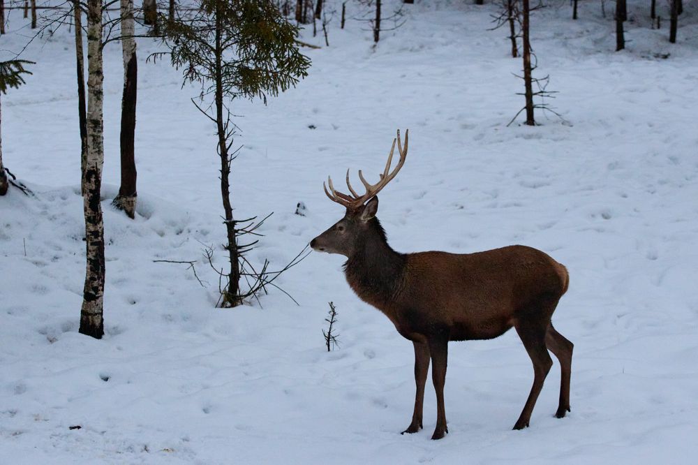 Photograph by Сергей Слукин