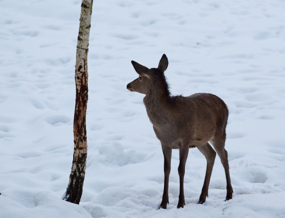 Photograph by Сергей Слукин