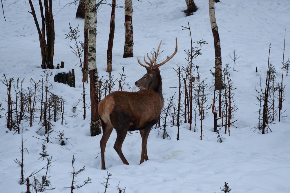 Photograph by Сергей Слукин