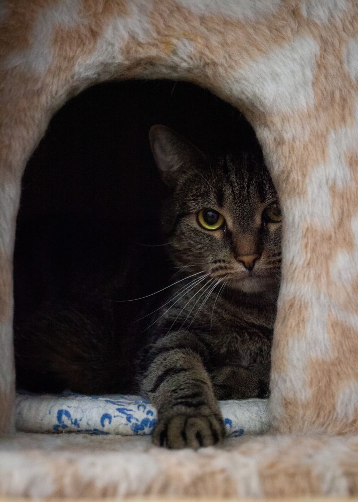 Photograph by Анна Брагина