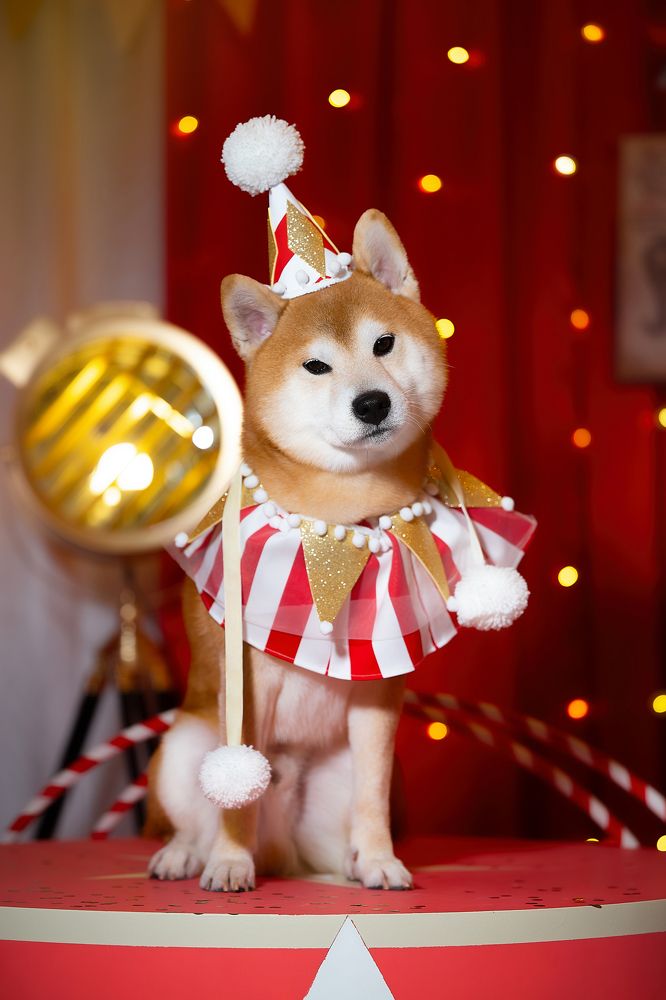 Photograph by Виктория Фоминых