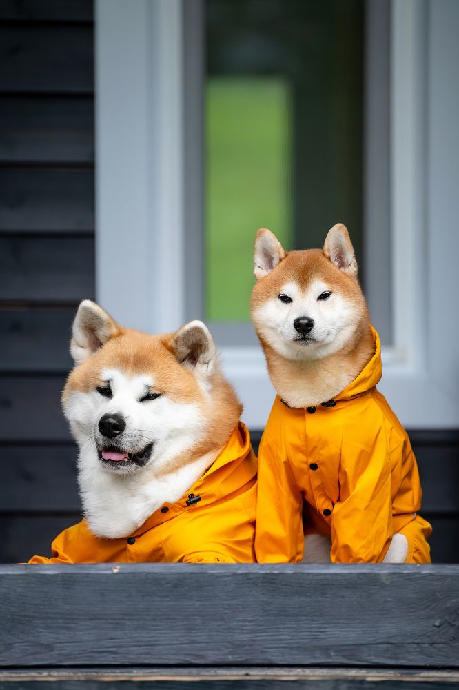 Photograph by Виктория Фоминых