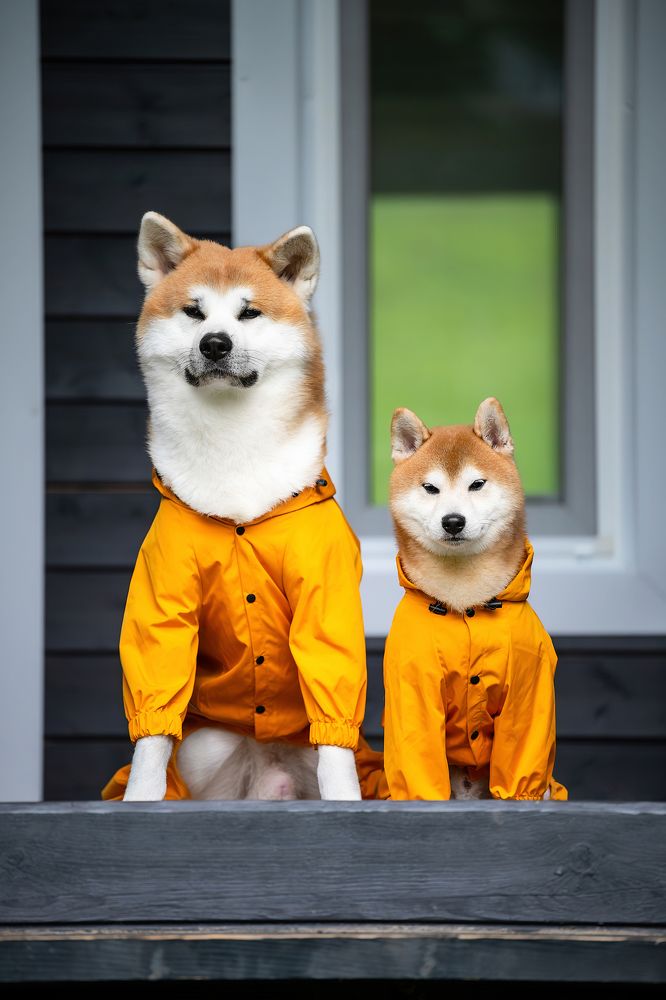 Photograph by Виктория Фоминых