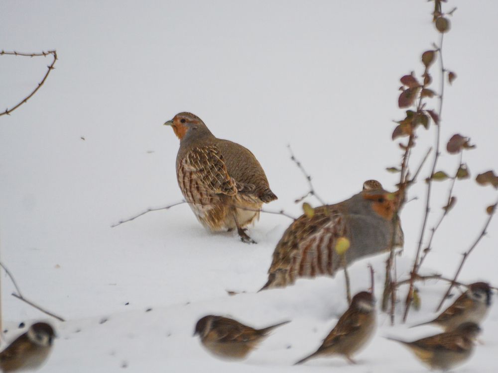 Photograph by Анастасия Гурова