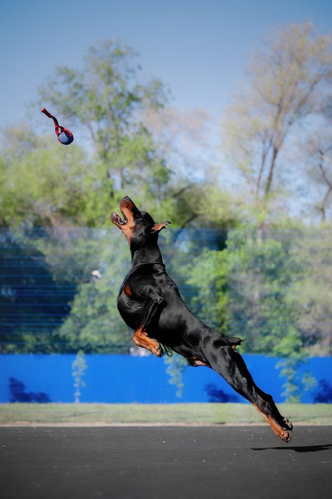 Photograph by Виктория Фоминых