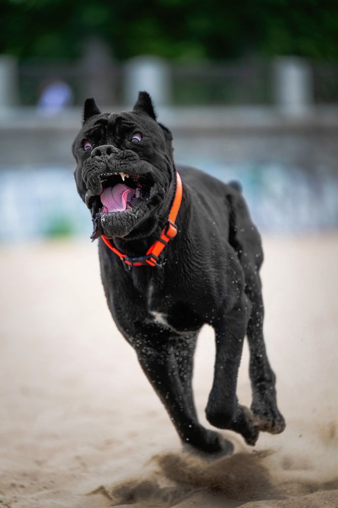 Photograph by Виктория Фоминых