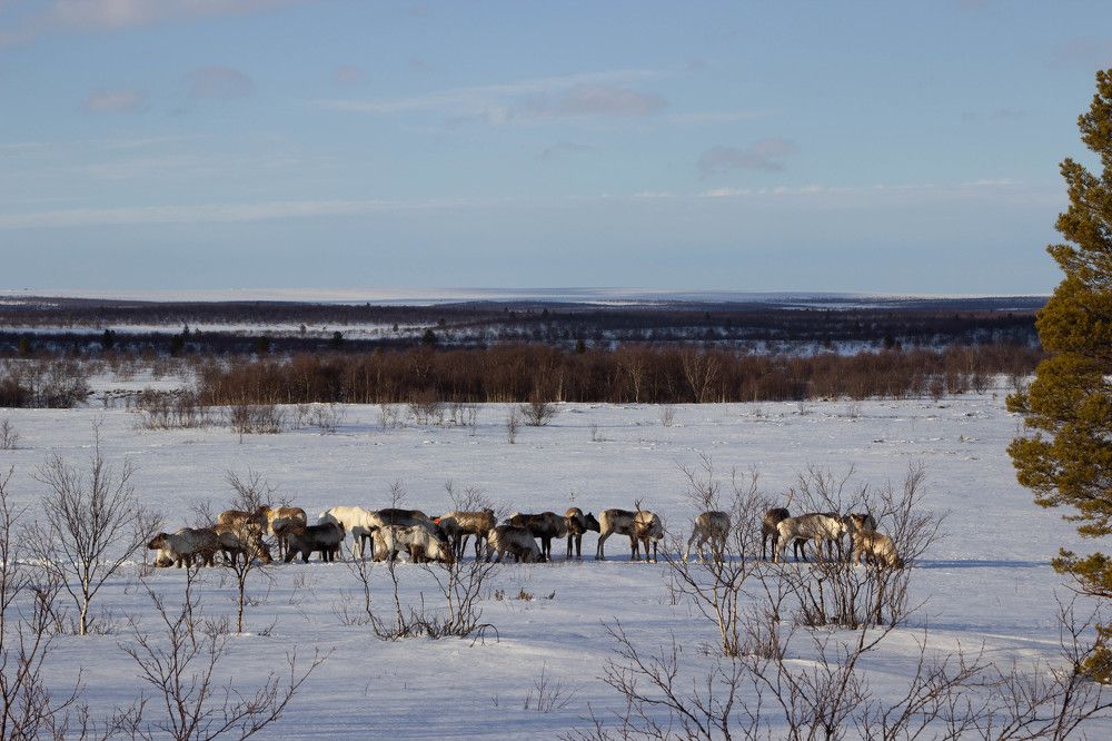 Photograph by Alina Bystrova