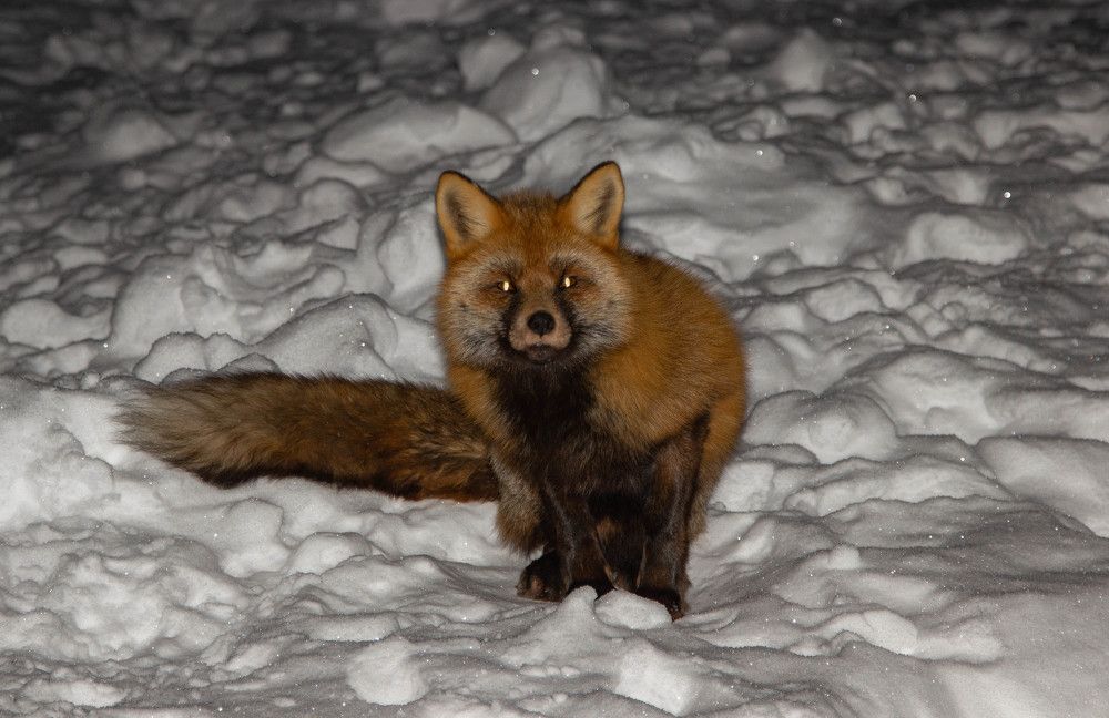 Photograph by Alina Bystrova