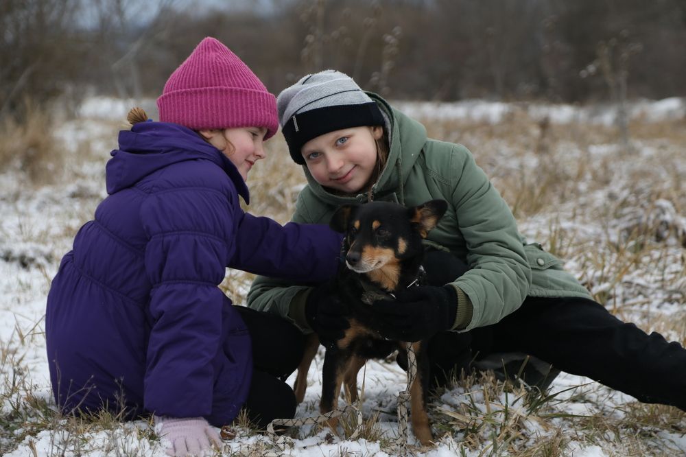 Фотография автора Елена Чурилова