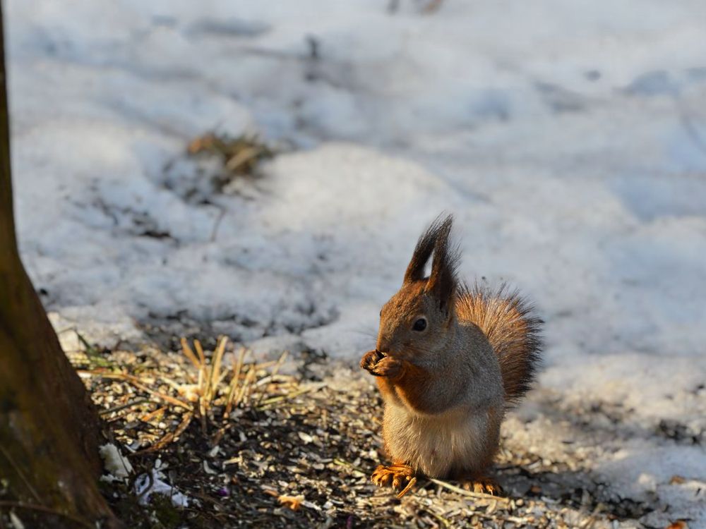 Photograph by Елена Чулюнина