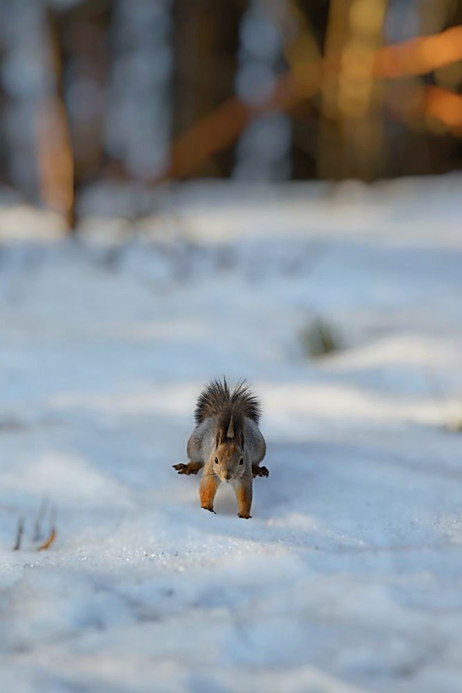 Photograph by Елена Чулюнина