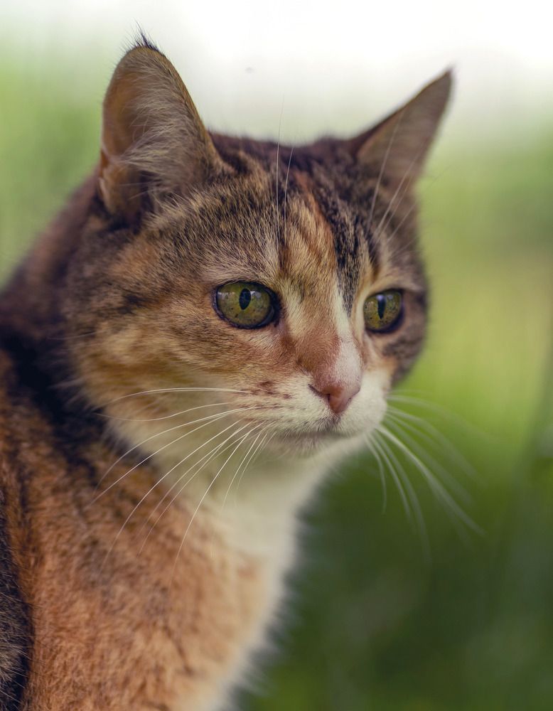 Photograph by Галина Искандарова