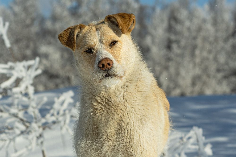 Photograph by Галина Искандарова