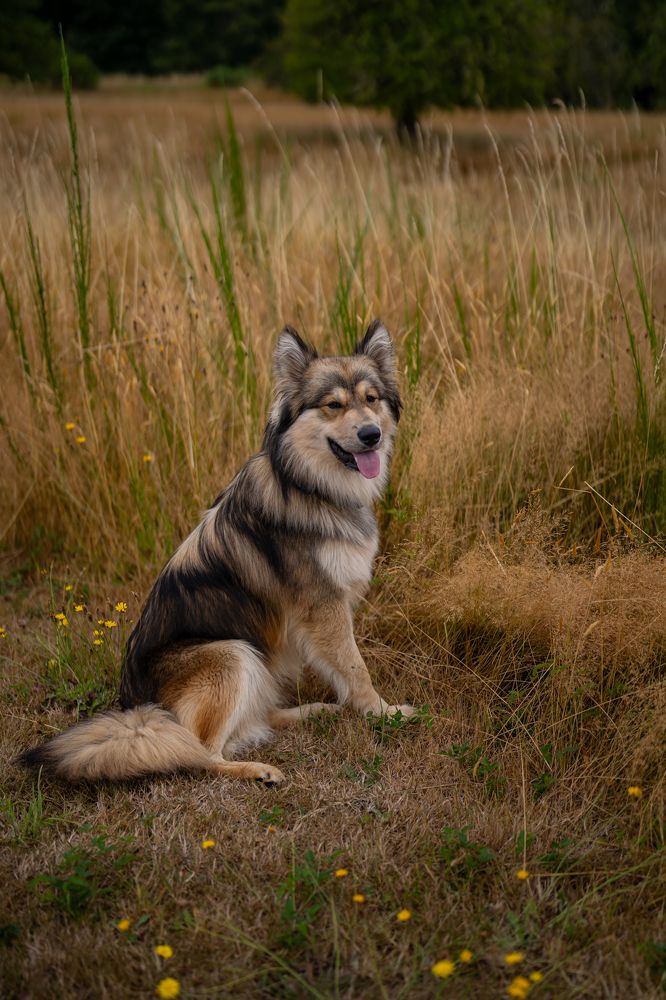 Фотография автора Borisova Natalia