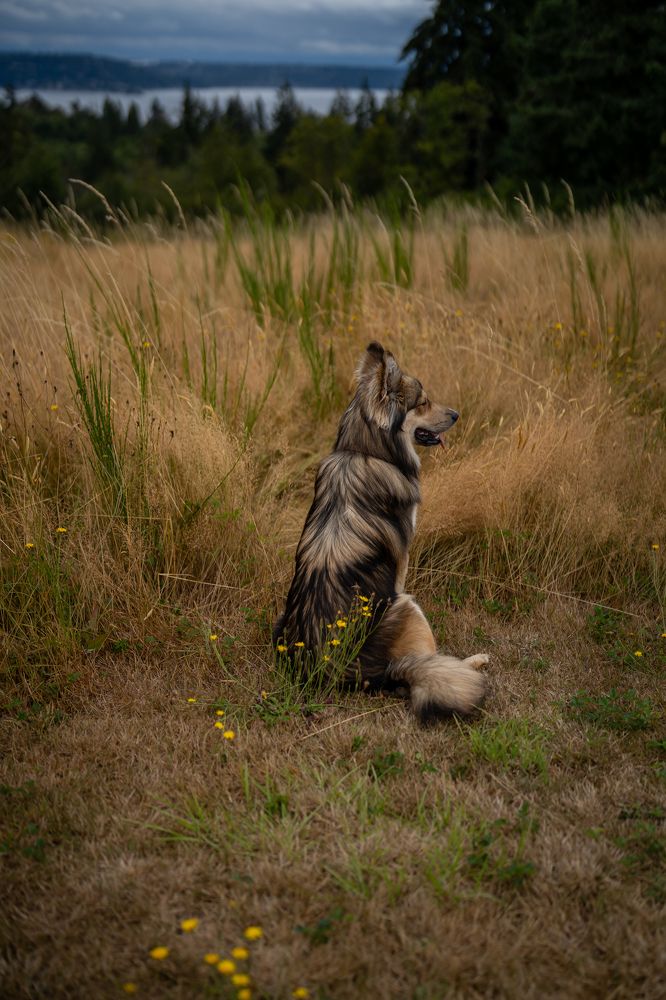 Фотография автора Borisova Natalia