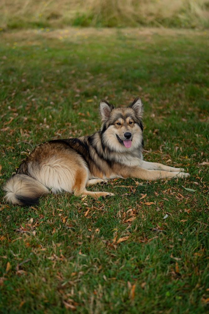 Фотография автора Borisova Natalia