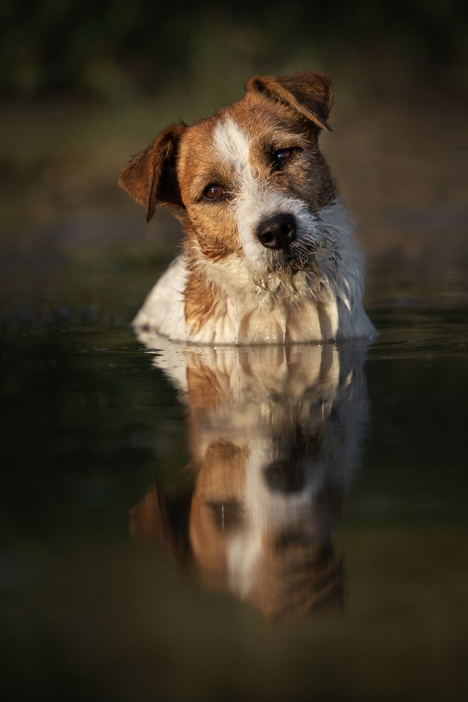 Photograph by Jelena Potrebic