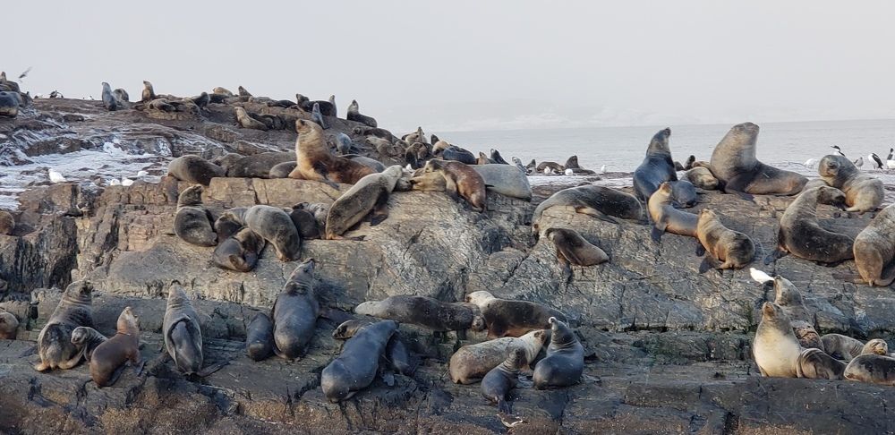 Photograph by Agus Amar